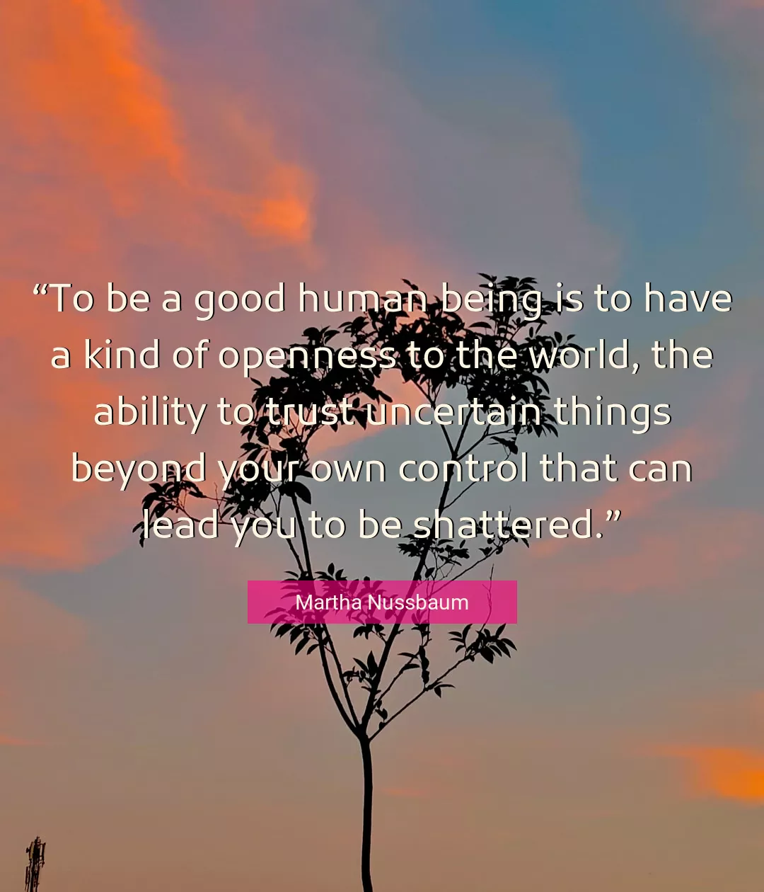 Quote About Good By Martha Nussbaum