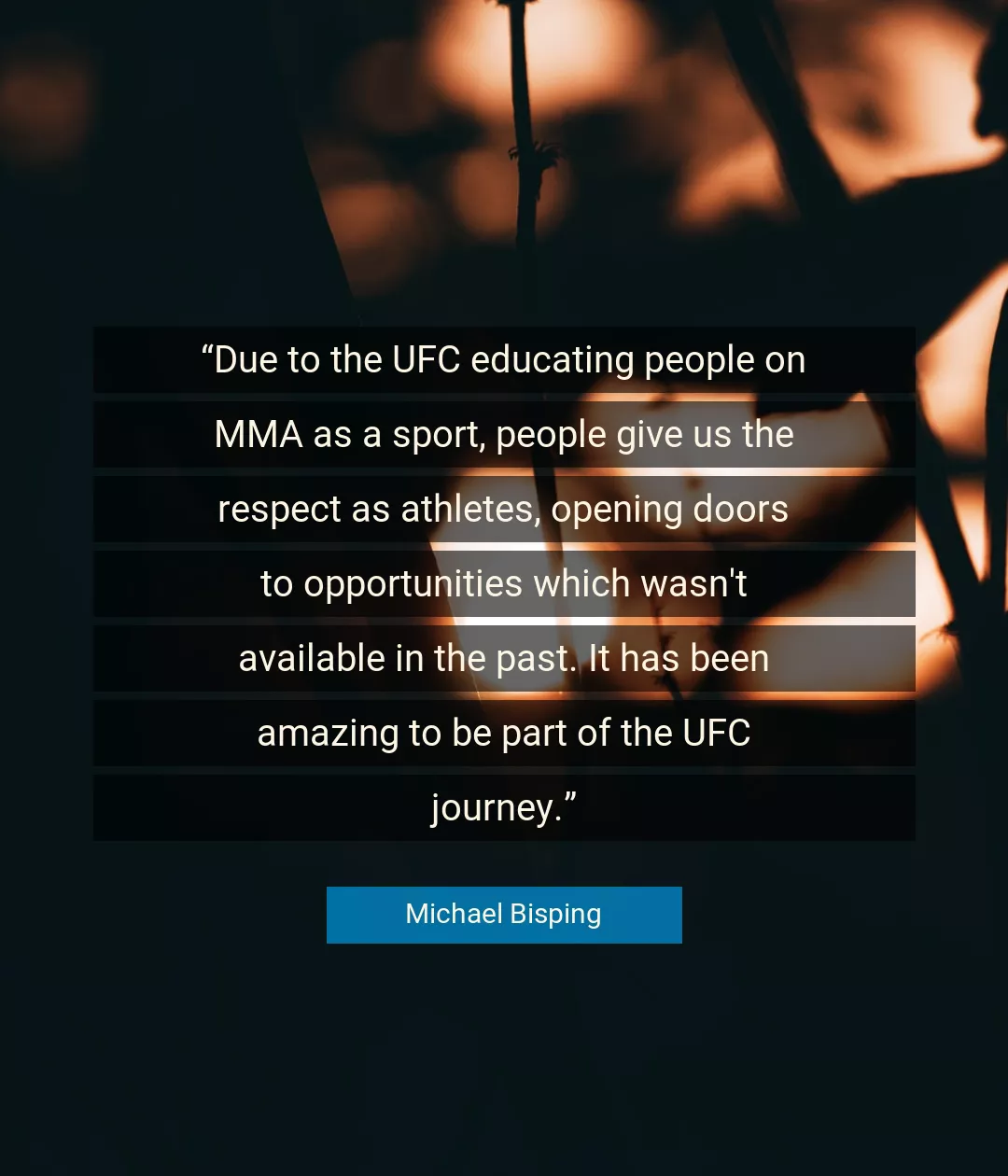 Quote About Journey By Michael Bisping