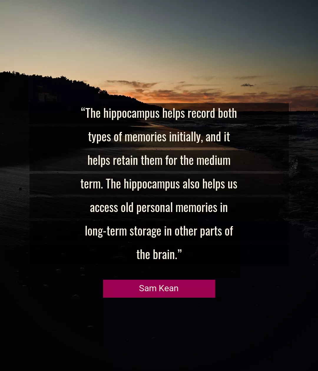 Quote About Brain By Sam Kean