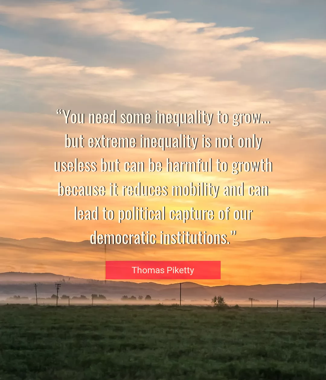 Quote About You By Thomas Piketty