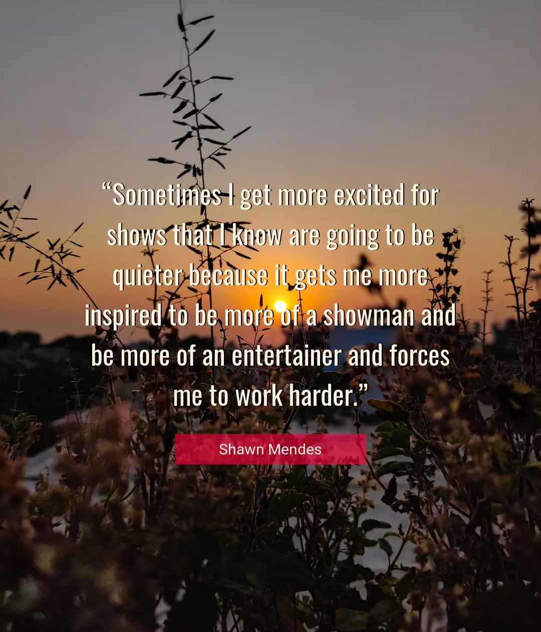 Quote About Work By Shawn Mendes