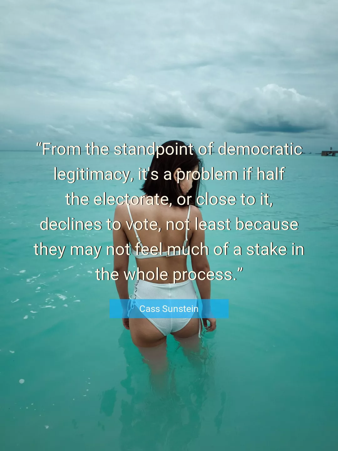 Quote About Vote By Cass Sunstein