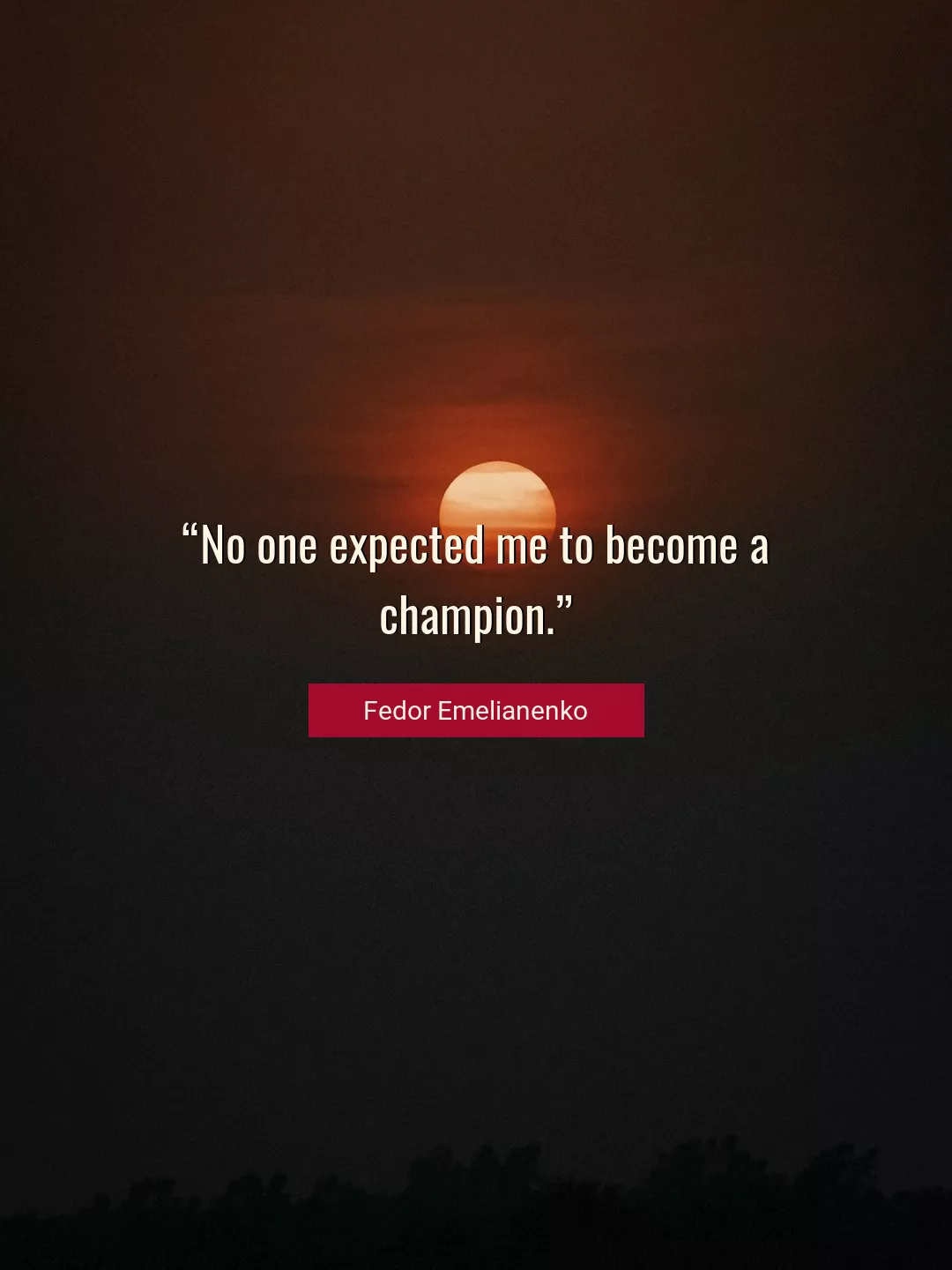 Quote About Me By Fedor Emelianenko