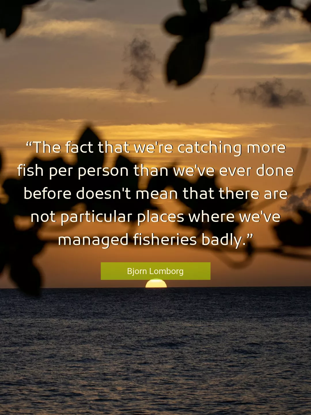 Quote About Fish By Bjorn Lomborg