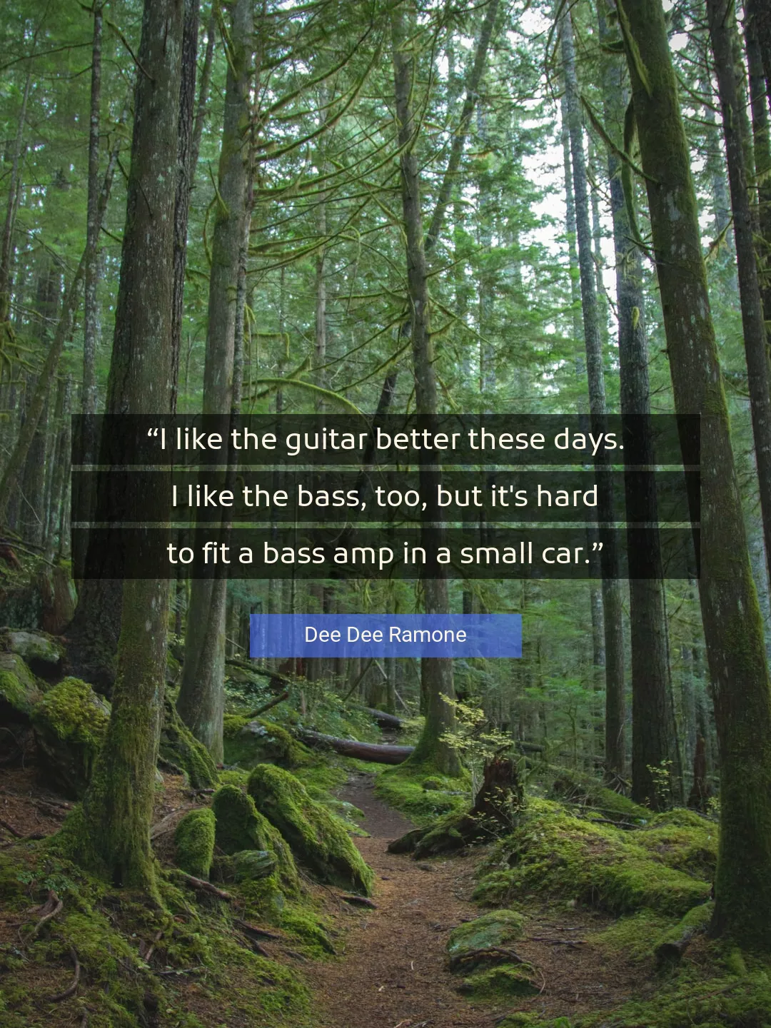 Quote About Guitar By Dee Dee Ramone