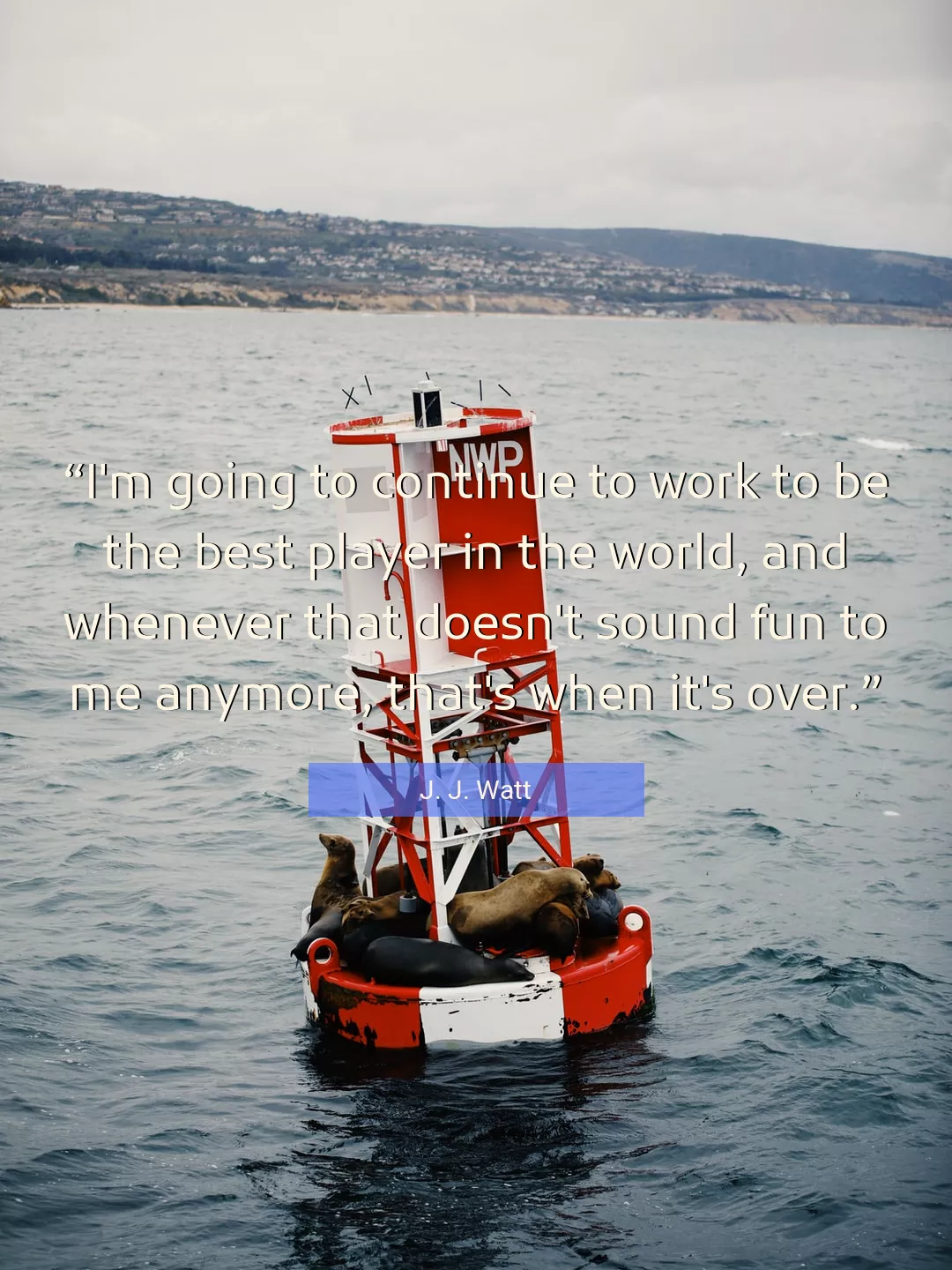 Quote About Work By J. J. Watt