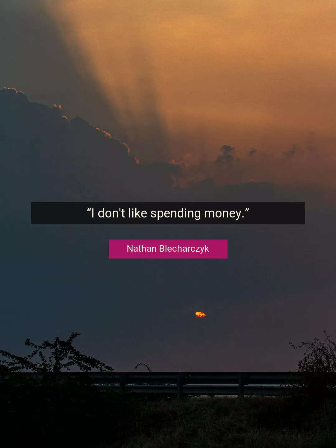 Quote About Money By Nathan Blecharczyk