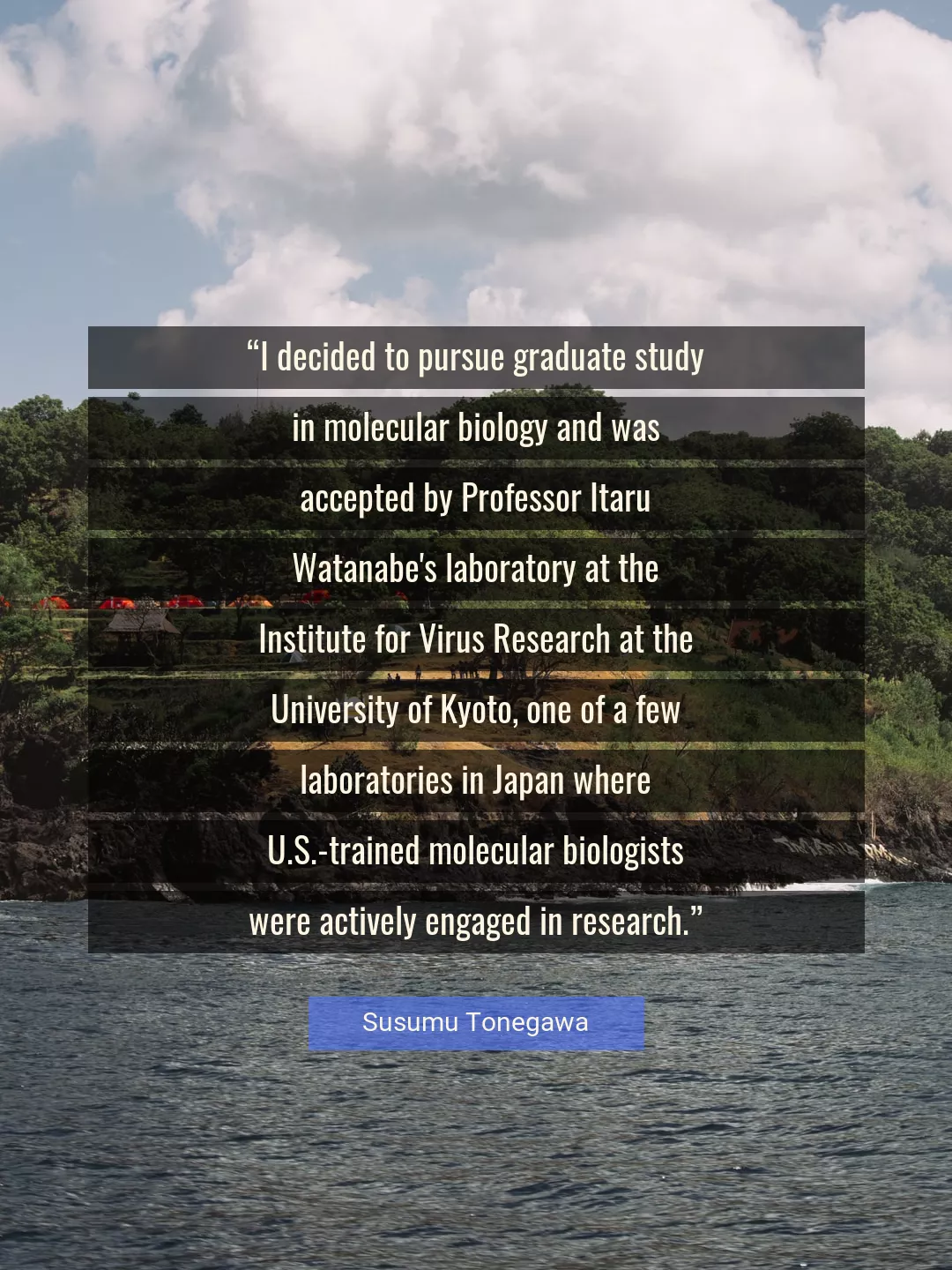 Quote About Research By Susumu Tonegawa