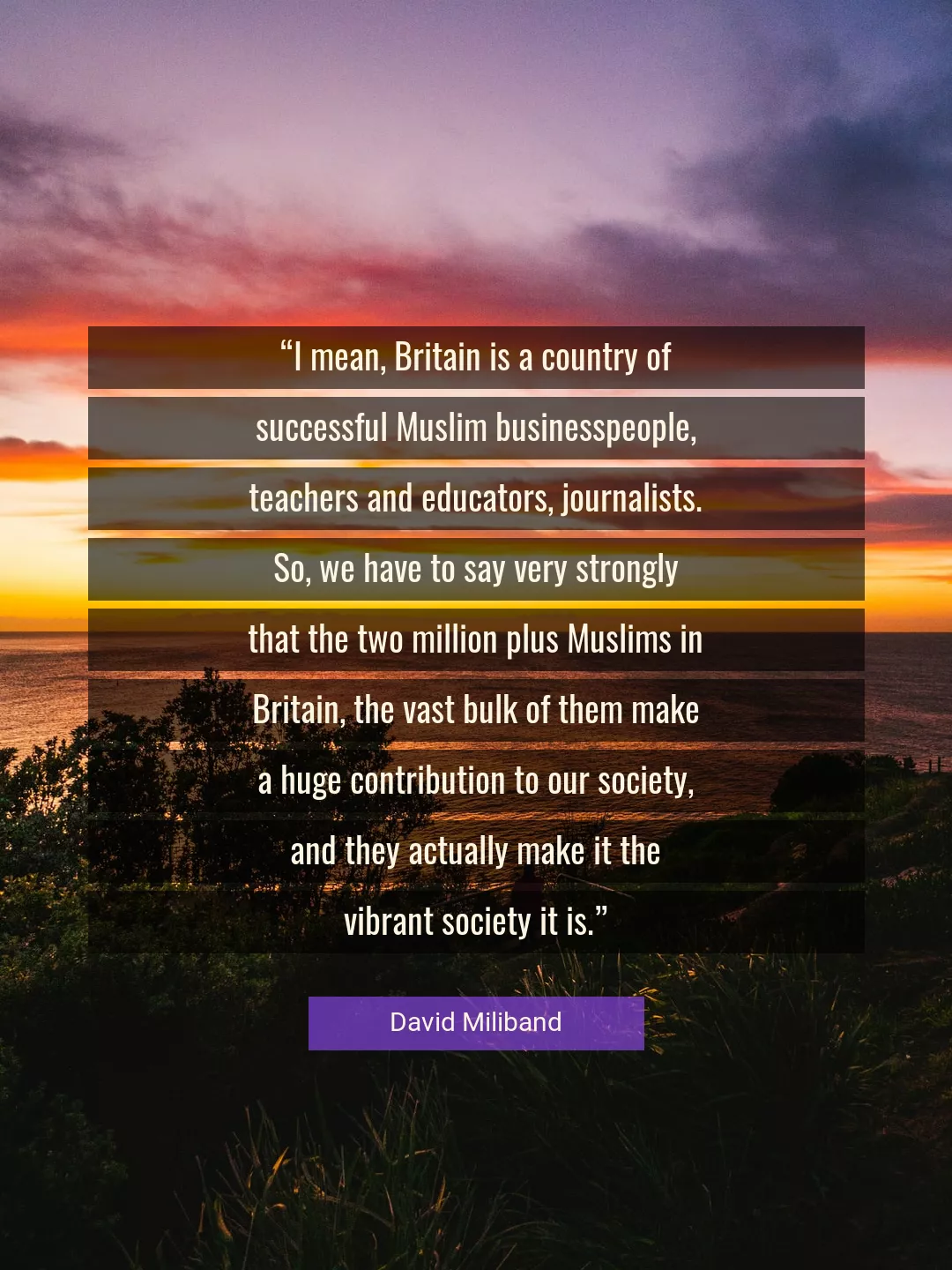 Quote About Society By David Miliband
