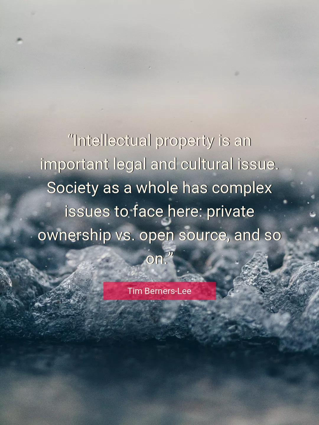 Quote About Society By Tim Berners-Lee
