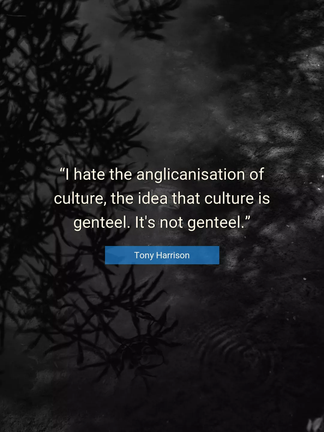 Quote About Culture By Tony Harrison