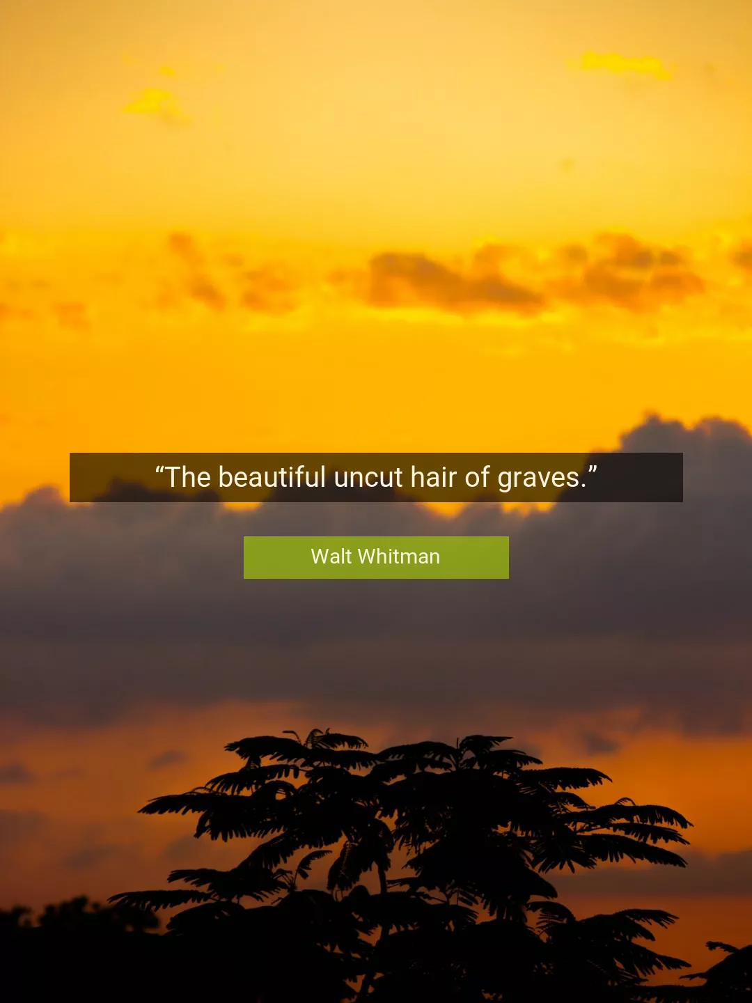 Quote About Beautiful By Walt Whitman