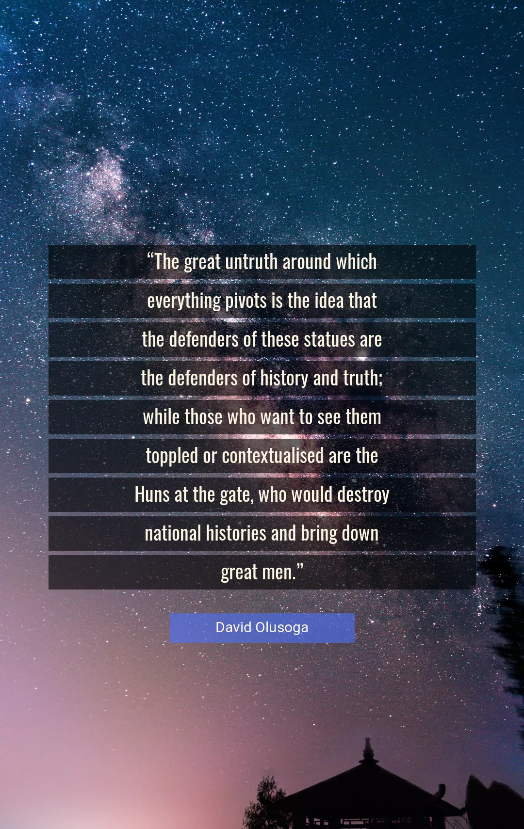 Quote About History By David Olusoga