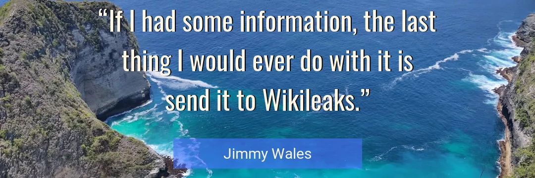Quote About Information By Jimmy Wales