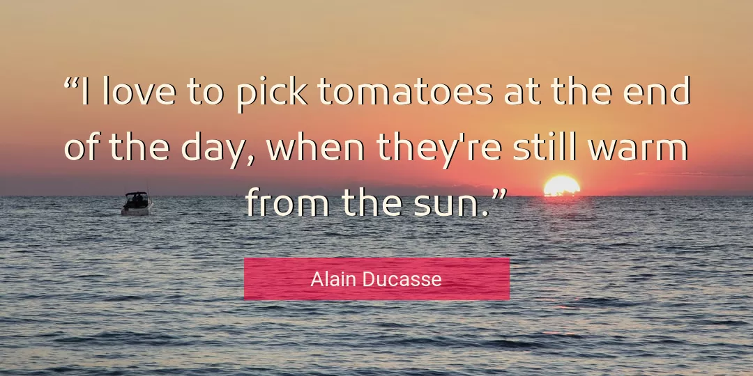 Quote About Love By Alain Ducasse