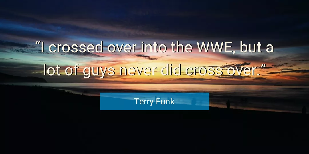 Quote About Never By Terry Funk