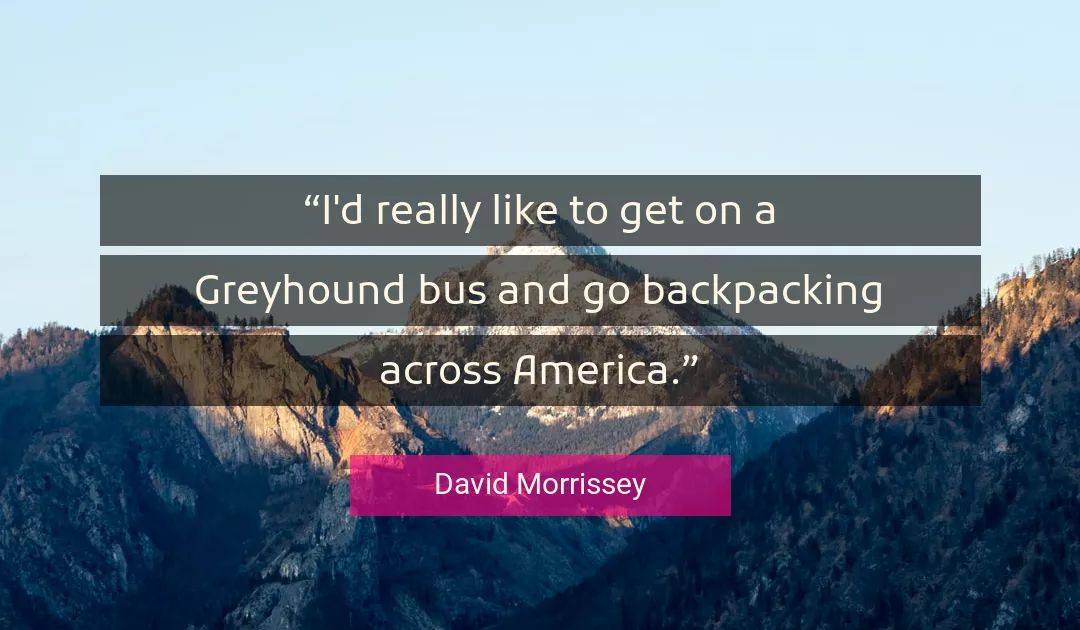 Quote About America By David Morrissey