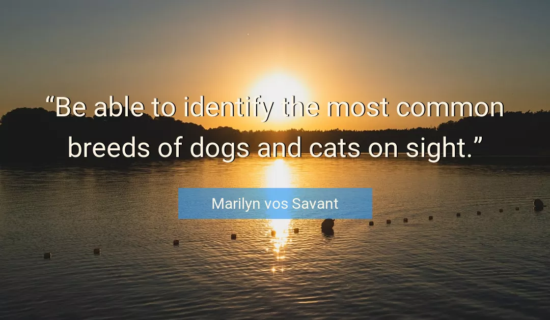 Quote About Cats By Marilyn vos Savant