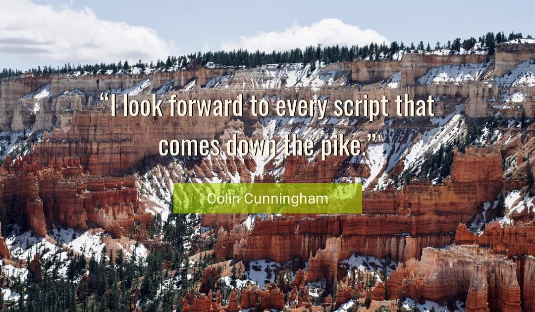 Quote About Look By Colin Cunningham