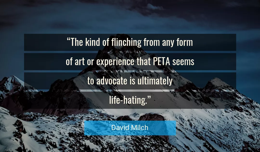 Quote About Experience By David Milch