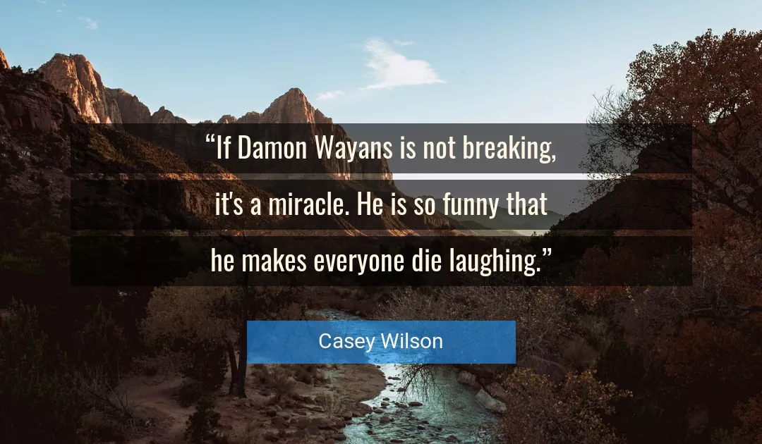 Quote About Funny By Casey Wilson