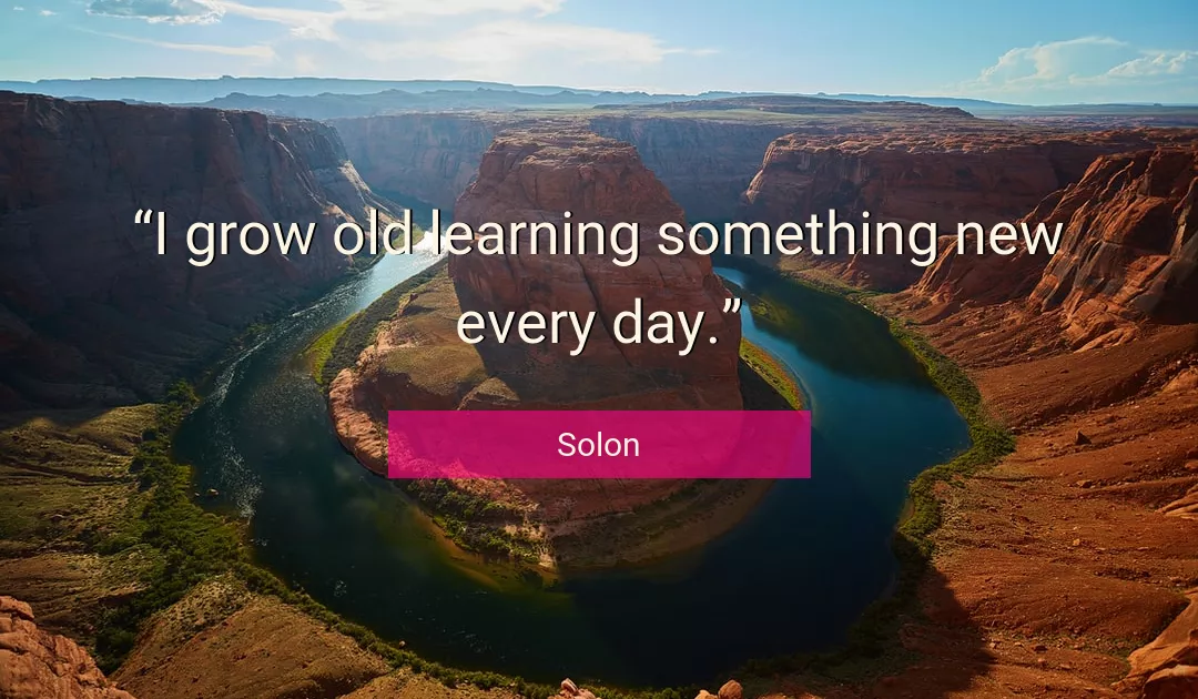 Quote About Learning By Solon
