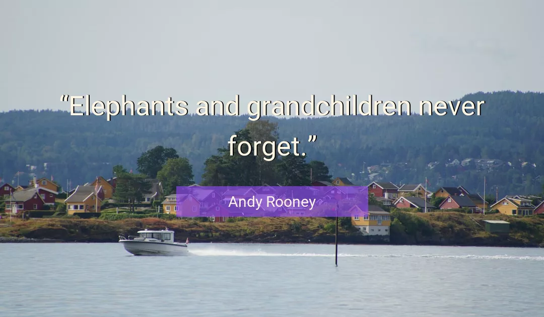 Quote About Never By Andy Rooney