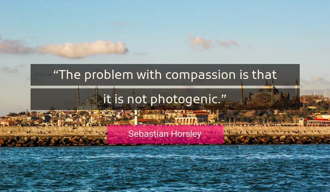 Quote About Compassion By Sebastian Horsley