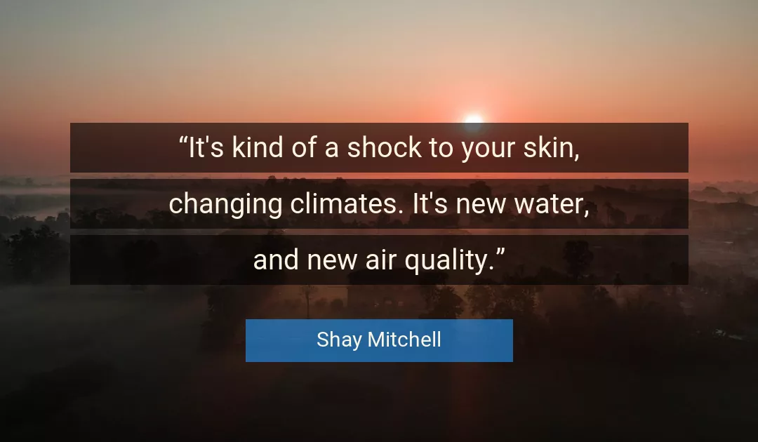 Quote About Your By Shay Mitchell