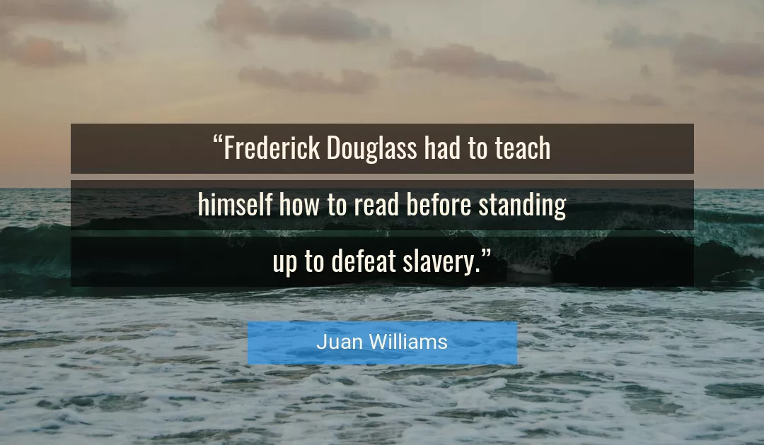 Quote About Slavery By Juan Williams