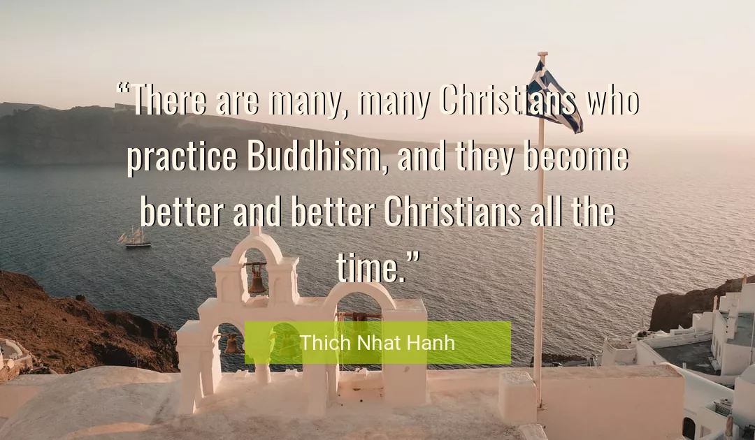 Quote About Time By Thich Nhat Hanh
