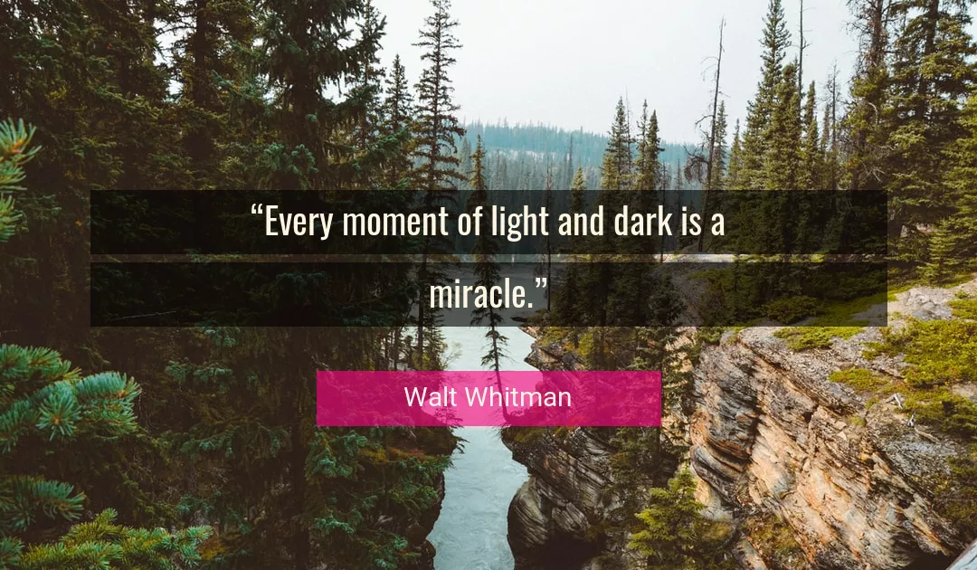 Quote About Light By Walt Whitman