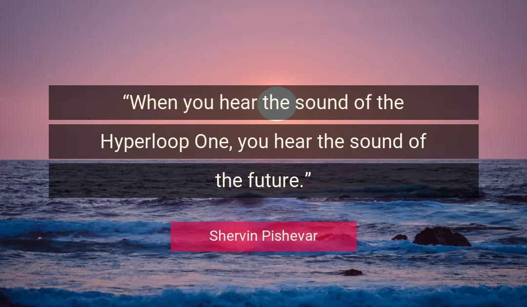 Quote About You By Shervin Pishevar