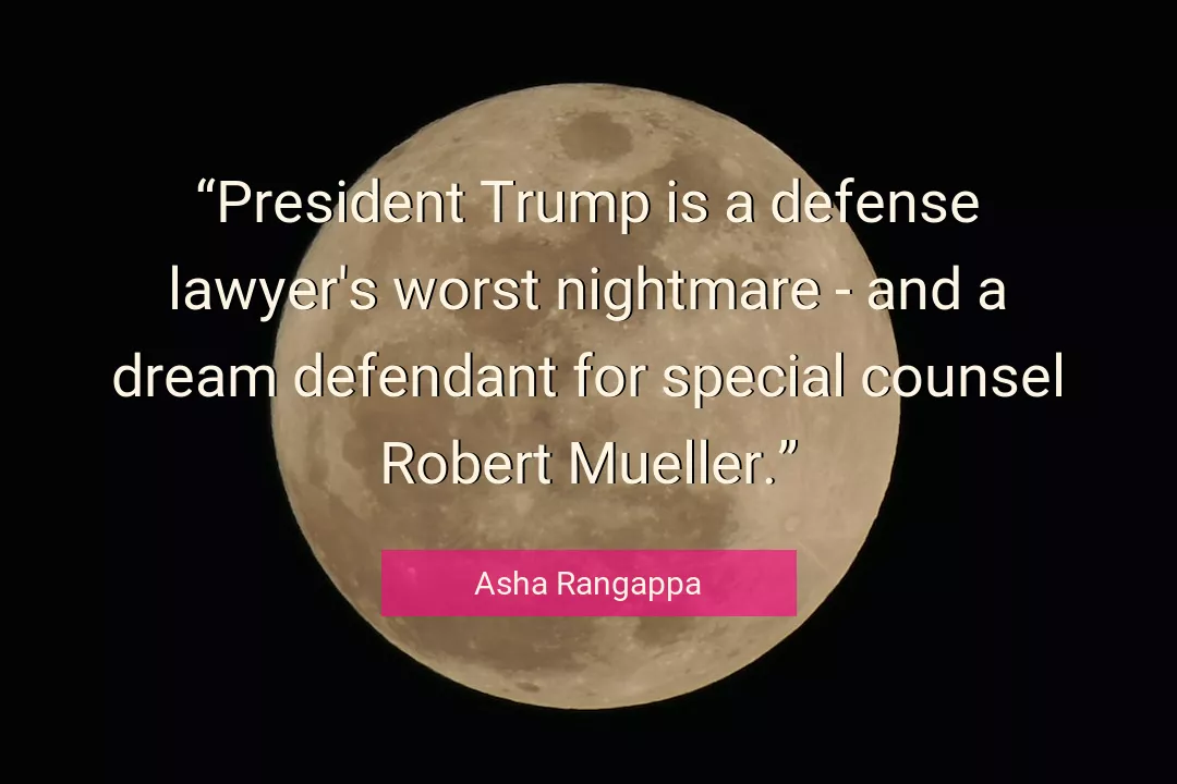 Quote About Lawyer By Asha Rangappa