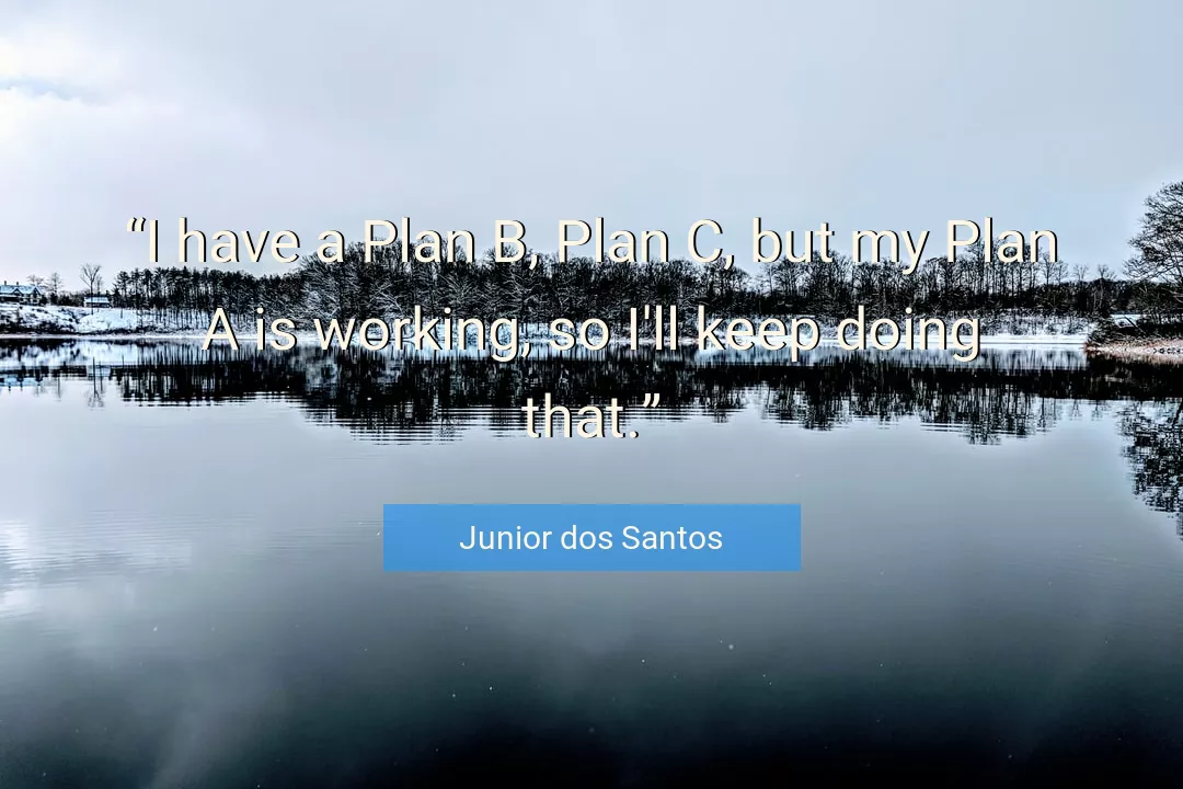 Quote About Doing By Junior dos Santos