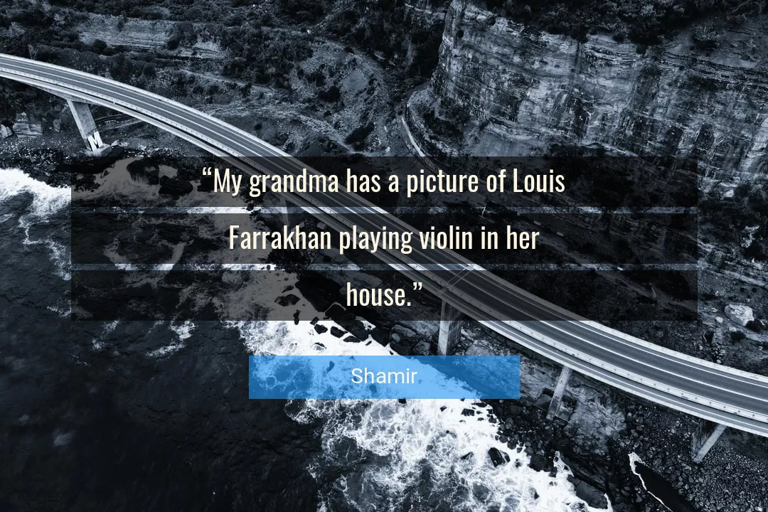 Quote About Violin By Shamir