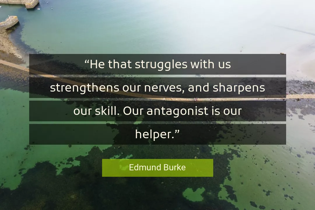 Quote About Skill By Edmund Burke