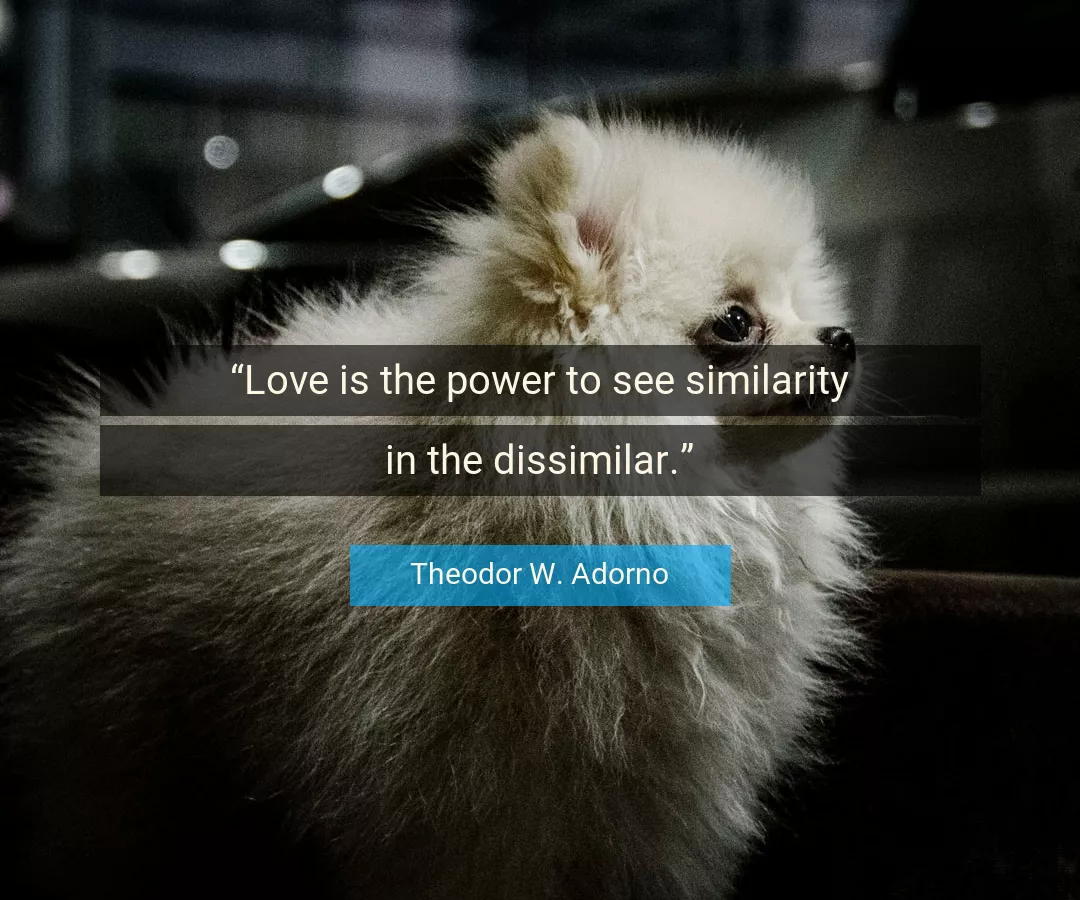 Quote About Love By Theodor W. Adorno