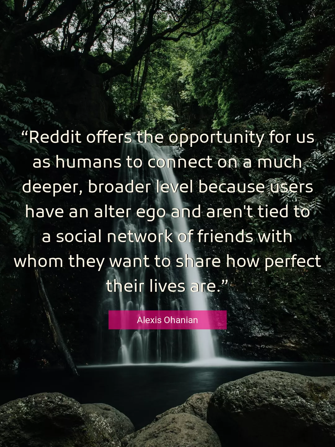 Quote About Opportunity By Alexis Ohanian