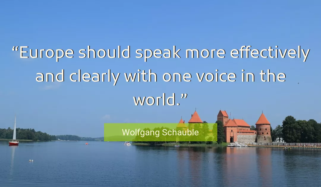 Quote About World By Wolfgang Schauble