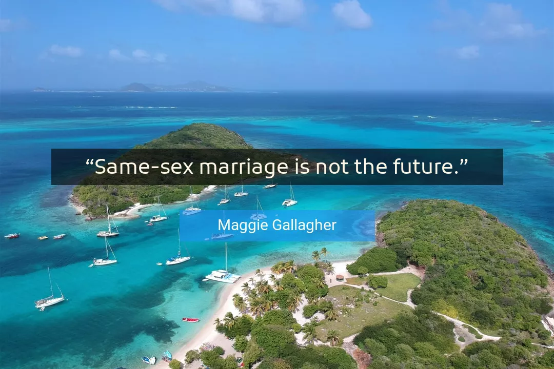 Quote About Future By Maggie Gallagher