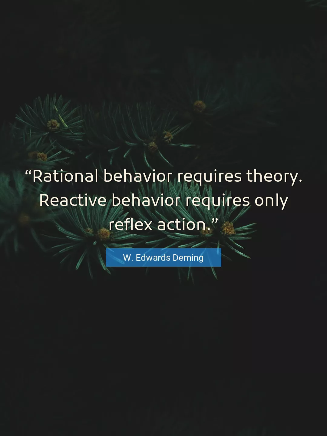 Quote About Action By W. Edwards Deming