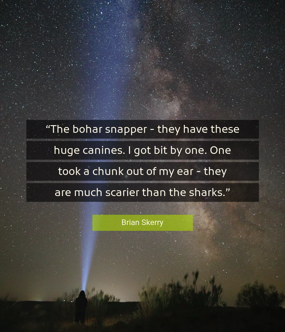 Quote About Sharks By Brian Skerry