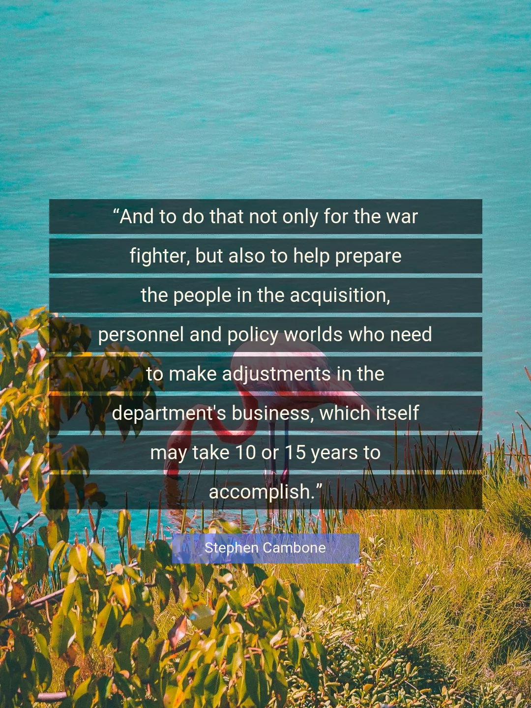 Quote About War By Stephen Cambone