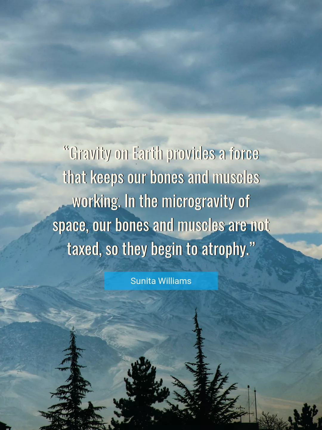 Quote About Space By Sunita Williams