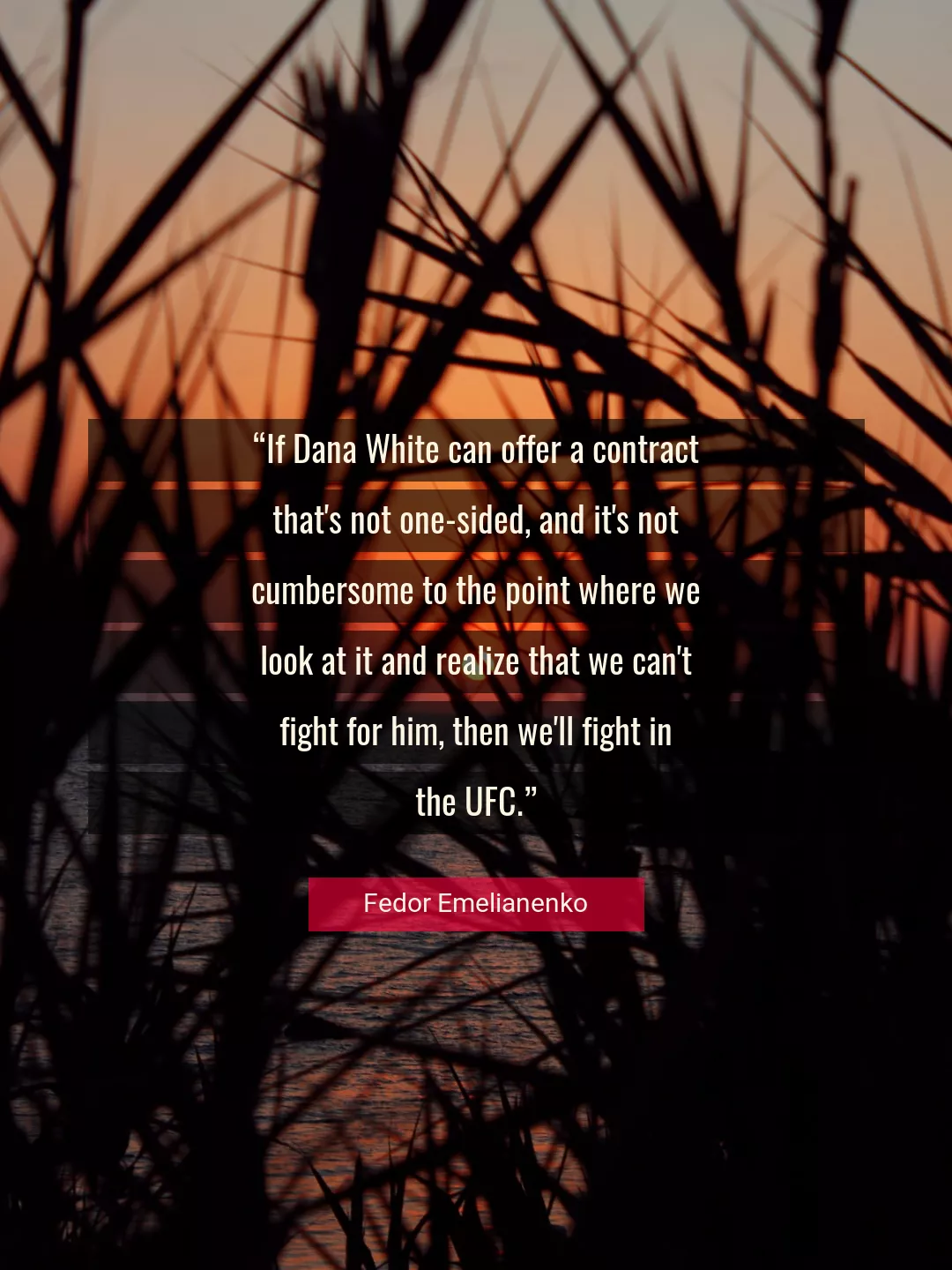 Quote About Fight By Fedor Emelianenko