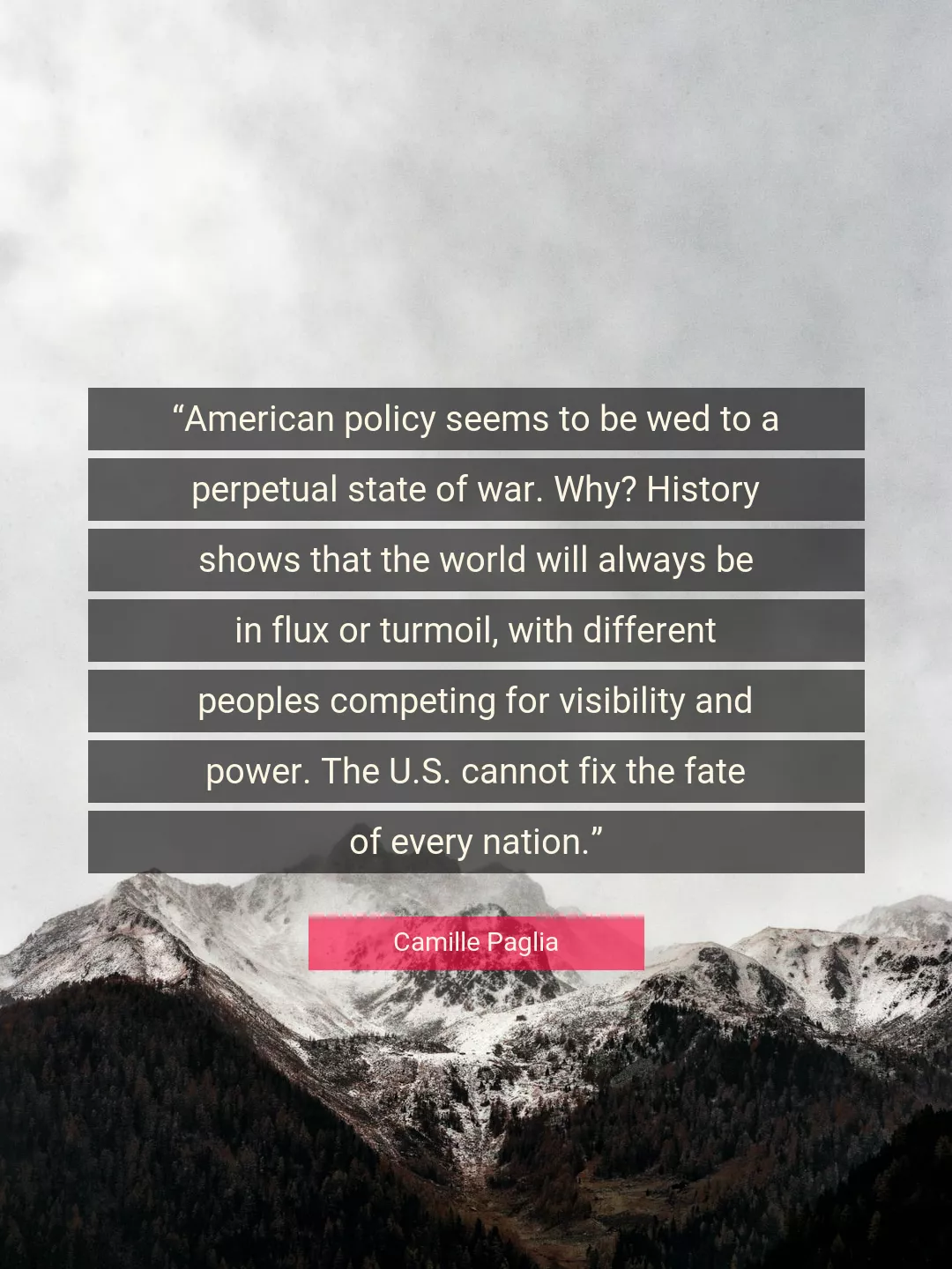 Quote About History By Camille Paglia
