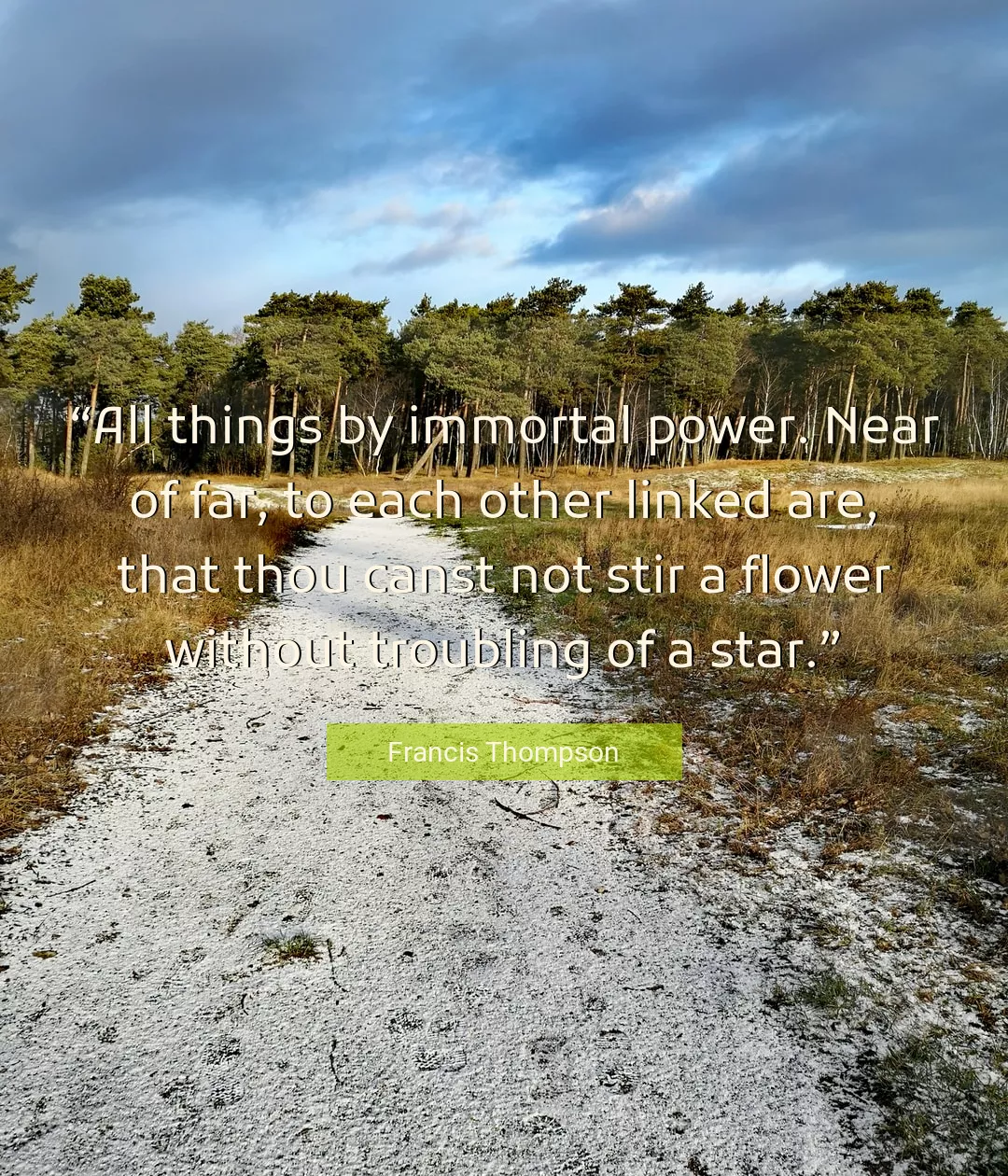 Quote About Power By Francis Thompson