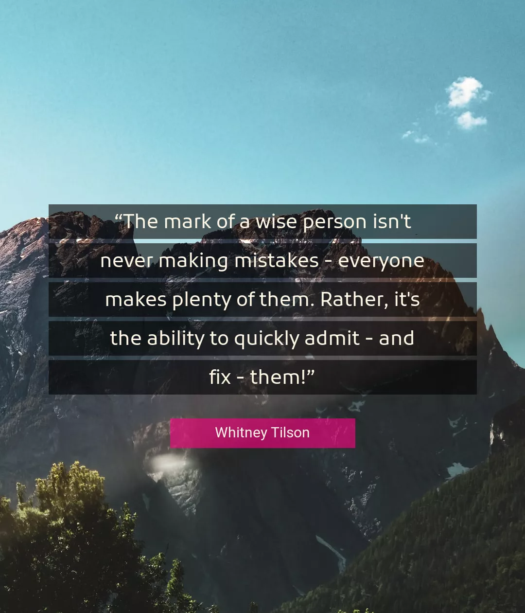 Quote About Wise By Whitney Tilson