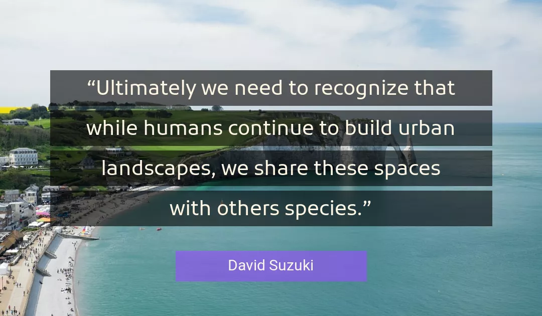 Quote About Landscapes By David Suzuki